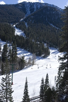 Nevada Prints: Las Vegas Ski and Snowboard Resort, Mount Charleston, near Las Vegas, Nevada
