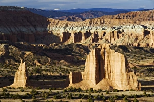 Pinnacles Prints: Late afternoon light on the sandstone pinnacles of