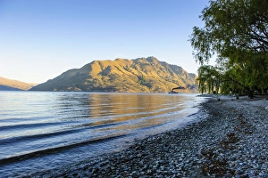 Otago Prints: Late afternoon light over the shores of Lake Wakatipu