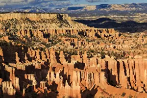 Hoodoo Prints: Late afternoon sun lights lines of hoodoos at Sunset Point