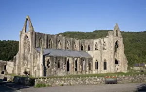 Pavements Prints: Late afternoon view of South and West sides of Tintern Abbey, Monmouthshire, Wales