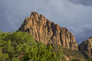 Late sunlight glowing on the rocks of the Zion National Park, Utah, United States of America, North America