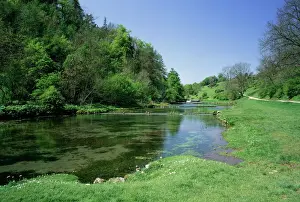 Derbyshire Prints: Lathkill Dale, near Bakewell, Peak District National Park, Derbyshire, England