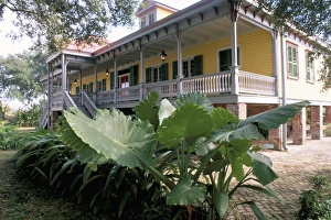 Louisiana Prints: Laura Plantation