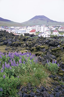 Volcanoe Prints: Lava from 1973 eruption in foreground