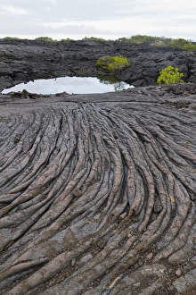 Lava flow, Fernandina Island, Galapagos Islands, UNESCO World Heritage Site, Ecuador, South America
