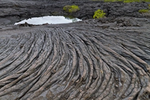 Rough Prints: Lava flow, Fernandina Island, Galapagos Islands