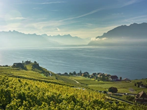 Lavaux terraced vineyards on Lake Geneva, Montreux, Canton Vaud, Switzerland, Europe