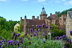 Edinburgh Prints: Lavender and old buildings, Dean village, Waters of Leith