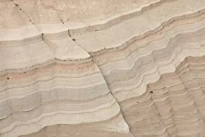Images Dated 3rd November 2009: Layered sandstone, Kasha-Katuwe Tent Rocks National Monument, New Mexico
