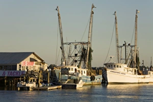 Images Dated 7th November 2008: Lazaretto Creek Fishing Port, Tybee Island, Savannah, Georgia, United States of America