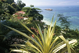 Lush Vegetation Prints: Lazio Beach