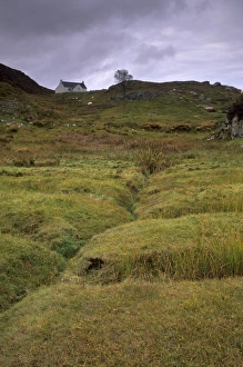 Lazybeds, remnants of ancient cultivation methods