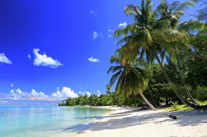 Relax Prints: Le Bora Bora by Pearl Resort, Moto Tevairoa island