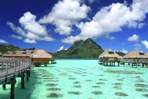 Lush Greenery Prints: Le Bora Bora by Pearl Resort and Mount Otemanu