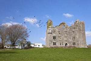 County Clare Prints: Leamanagh Castle, Burren, County Clare, Munster, Republic of Ireland, Europe