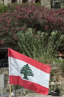 Images Dated 21st January 2000: Lebanese flag