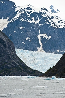 Ice Berg Prints: LeConte Glacier in LeConte Bay, Southeast Alaska, Alaska, United States of America