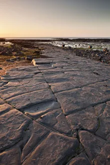 Barren Prints: The ledges on Kilve Beach, Somerset, England, United Kingdom, Europe