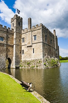 Maidstone Prints: Leeds Castle, Maidstone, Kent, England, United Kingdom, Europe