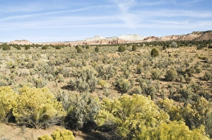 Kodachrome Basin Prints: _LEF5178