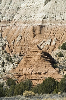 Strata Prints: _LEF5203
