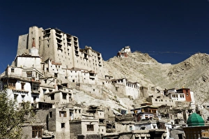 Leh Palace