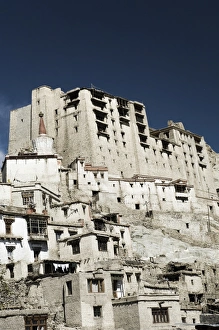 Deteriorate Prints: Leh Palace