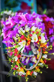 Cultures Prints: Lei (necklace of flowers) for sale at Rarotonga Saturday Market (Punanga Nui Market)
