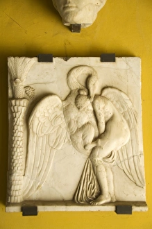Santa Cruz Prints: Leila and the Swan in Casa de Pilatos