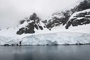 Images Dated 22nd February 2009: Lemair Channel, Antarctic Peninsula, Antarctica, Polar Regions