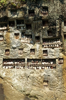 Toraja Prints: Lemo cliff tombs