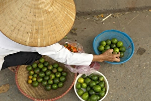 Arranging Prints: Lemon seller, Market in the old quarter, Hanoi, Vietnam, Indochina, Southeast Asia, Asia