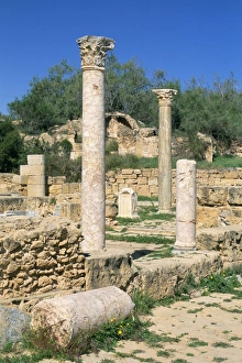 Images Dated 26th April 2005: Leptis Magna, UNESCO World Heritage Site, Tripolitania, Libya, North Africa, Africa