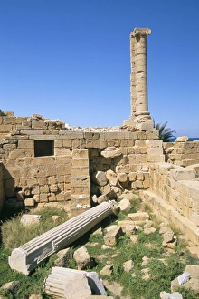 Images Dated 26th April 2005: Leptis Magna, UNESCO World Heritage Site, Tripolitania, Libya, North Africa, Africa