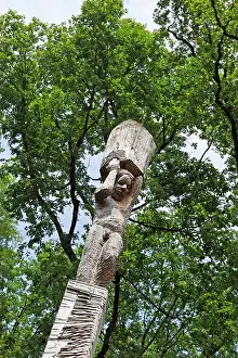 Sculptures Prints: Les Atlantes sculpture on trunk (Douglas tree) by Antoine Halbwachs & Christophe Vehruny in the Forest of Troncais