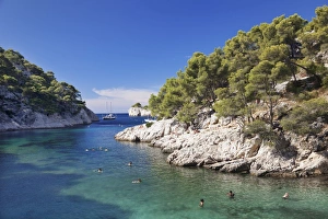 Cassis Prints: Les Calanques Port Pin, National Park, Cassis, Provence, Provence-Alpes-Cote d Azur
