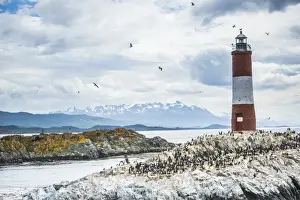 Cormorant Prints: Les Eclaireurs Lighthouse and cormorant colony on an island in the Beagle Channel