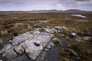 Isle Of Lewis Prints: Lewisian gneiss