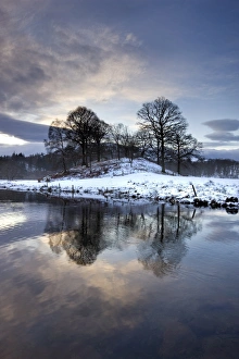 Images Dated 5th December 2008: LF000148