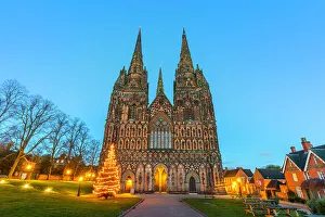 Lawns Prints: Lichfield Cathedral, Christmas tree