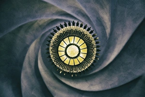 Casa Batllo Prints: Light and ceiling inside Casa Batllo, one of Gaudis buildings, UNESCO World Heritage Site