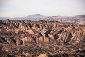 Granada Prints: Light falls on ridged hills and olive groves near a desert in Granada