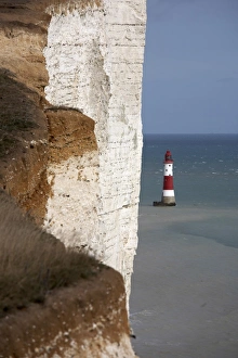 Beacon Prints: Lighthouse, Beachy Head, East Sussex, England, United Kingdom, Europe