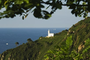 Beacon Prints: Lighthouse on cliff