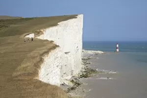 Images Dated 28th July 2010: Lighthouse and cliffs at Beachy Head, East Sussex, England, United Kingdom, Europe