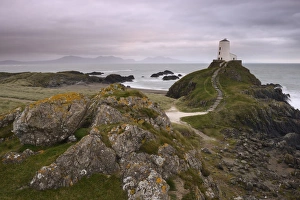 Anglesey Prints: The lighthouse at the edge of Llanddwyn Islan, under a pink cloudy sky, Anglesey