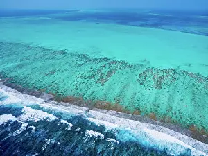 Snorkeling Prints: Lighthouse Reef, aerial view, Belize District, Belize