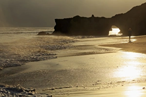 Santa Cruz Prints: Lighthouse State Beach, Santa Cruz, California, United States of America, North America