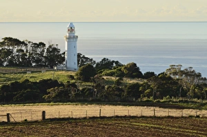 Australasian Prints: Lighthouse, Table Cape, Tasmania, Australia, Pacific